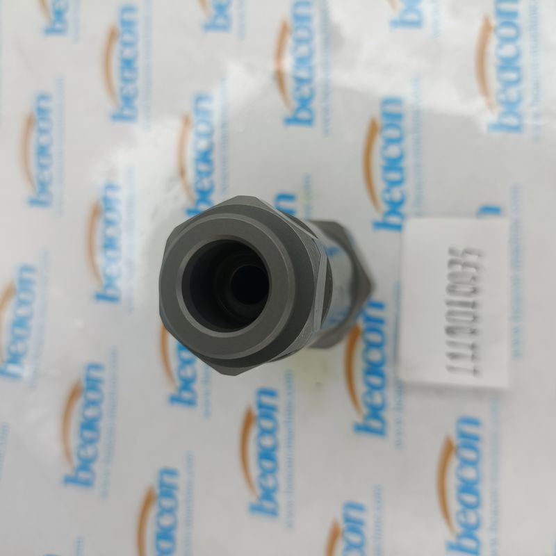 Клапан сброса давления Common Rail 1110010035 для Bosch