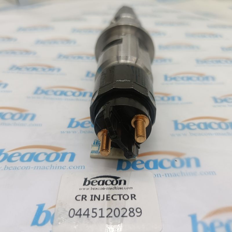 Авто 0445120289 Форсунка Common Rail для дизельного двигателя Bosch CRDI