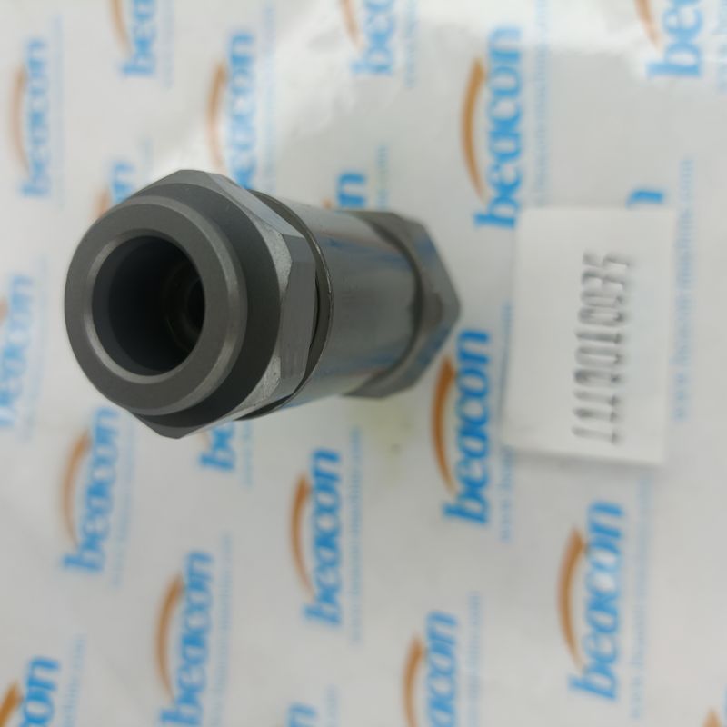 Клапан управления сбросом давления Common Rail 1110010035 для Bosch